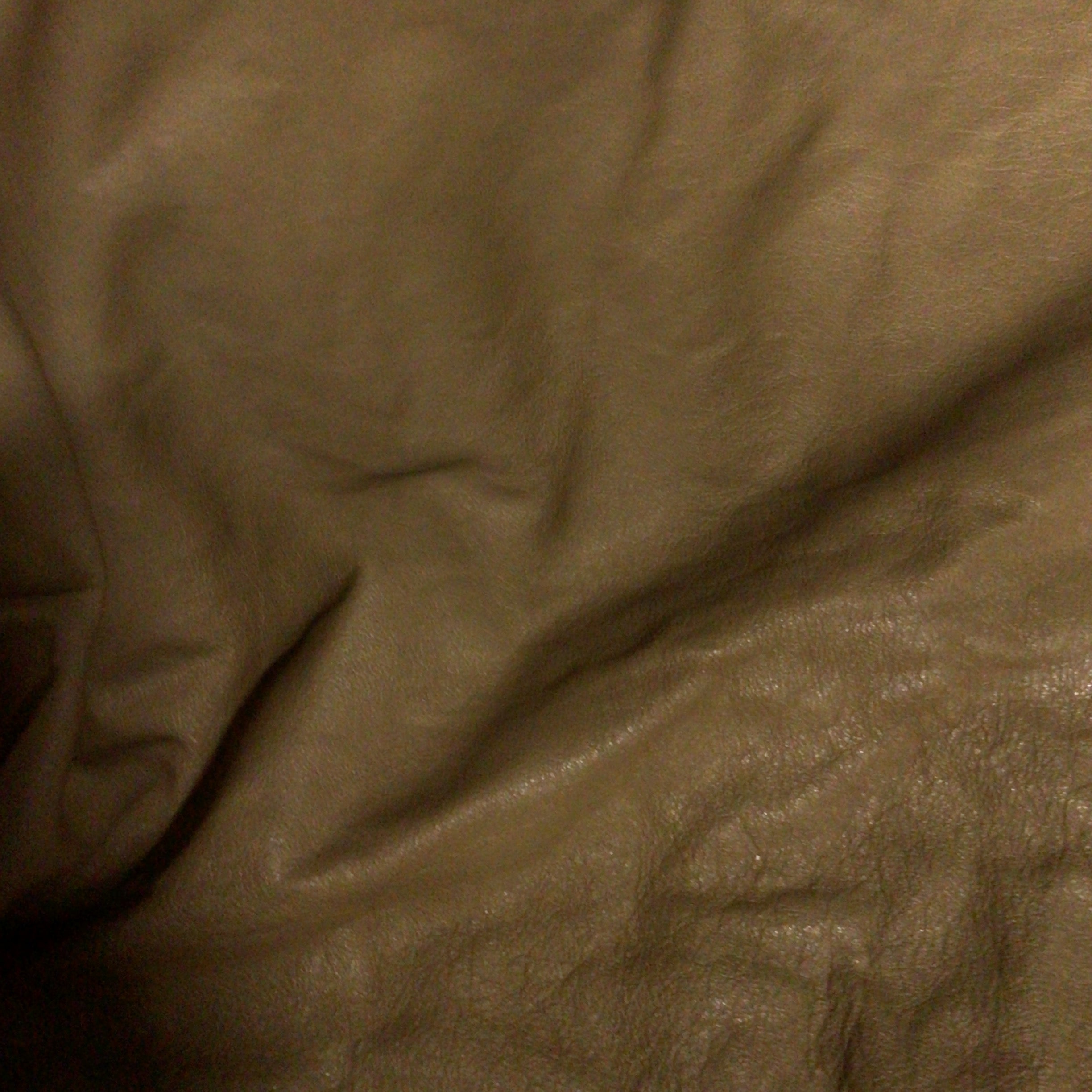 Light Brown Leather Hide Upholstery Remnant
