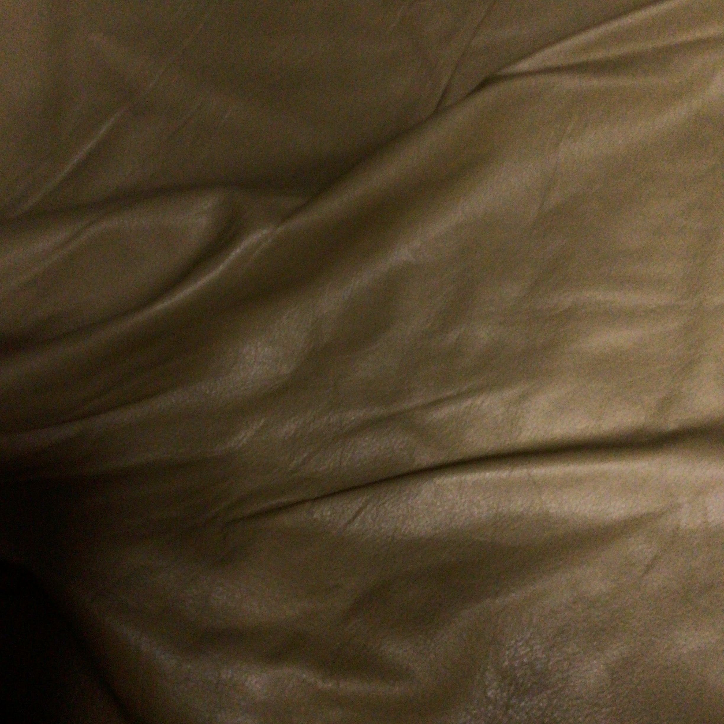 Light Brown Leather Hide Upholstery Remnant