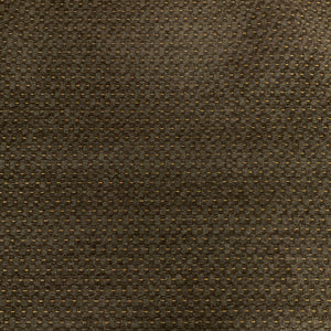 Burch Evergreen Sage Green Chenille Upholstery Fabric