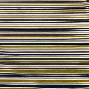 Carnegie Barre 81 Velvet Stripe Upholstery Fabric