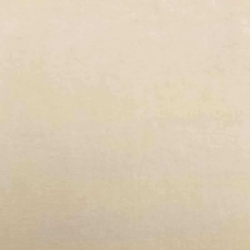 Kenley Canvas Solid Light Beige Chenille Upholstery Fabric