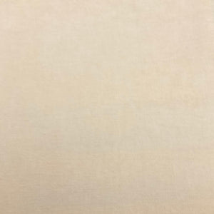 Kenley Canvas Solid Light Beige Chenille Upholstery Fabric