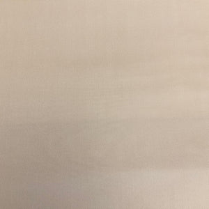 Sunbrella Canvas Birds Eye Ivory Outdoor Upholstery Fabric