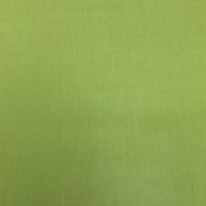 Sunbrella Canvas Parrot Green Outdoor Upholstery Fabric