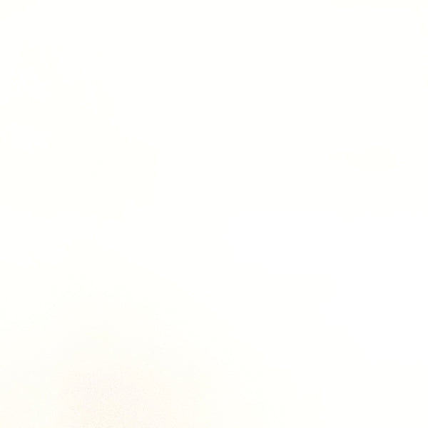 Sunbrella Canvas White Outdoor Upholstery Fabric