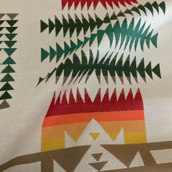 Sunbrella Cheif Joseph Pendleton Outdoor Upholstery Fabric