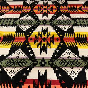 Sunbrella Eagle Rock Oasis Pendleton Outdoor Upholstery Fabric