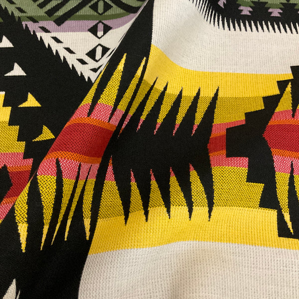 Sunbrella Eagle Rock Oasis Pendleton Outdoor Upholstery Fabric
