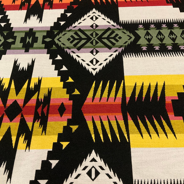 Sunbrella Eagle Rock Oasis Pendleton Outdoor Upholstery Fabric